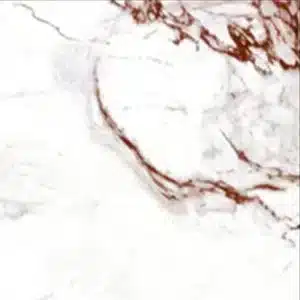 OND 4695 tile – textured 1x1 ft floor tiles design in 20x20 cm | Tile House in Chennai, showroom in Madipakkam