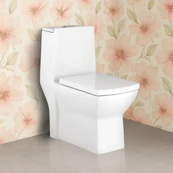 Dalena single piece closet – elegant bathroom sanitaryware | Johnson sanitaryware | Tile House showroom, Puzhal, Chennai